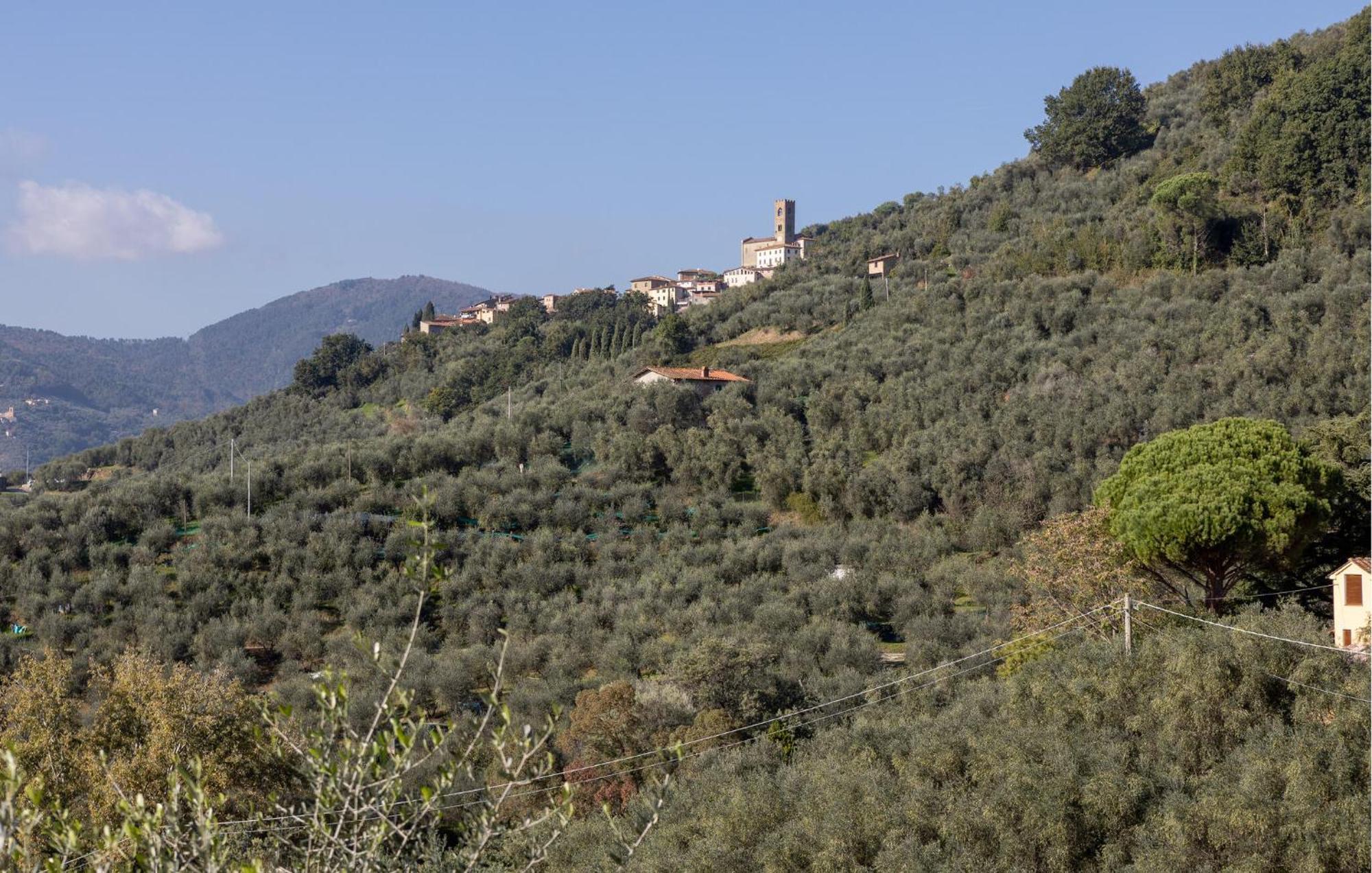 Beautiful Home In Uzzano Pt With Kitchen エクステリア 写真